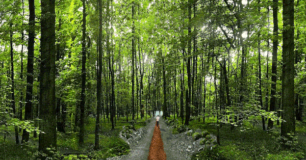 src=http _5b0988e595225.cdn.sohucs.com_q_70,c_zoom,w_640_ima