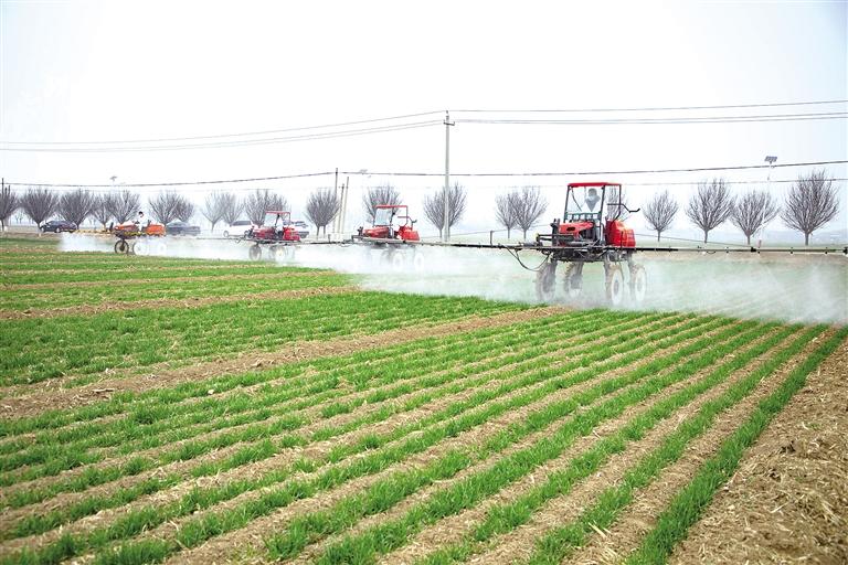 mf8hFjz6RHMPwFVT (1).jpg