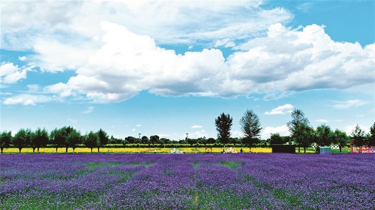 5UfroYfDuiF88LLw (1).jpg