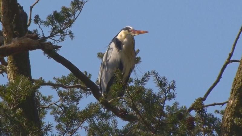 ��������Ӵ�������� (1)