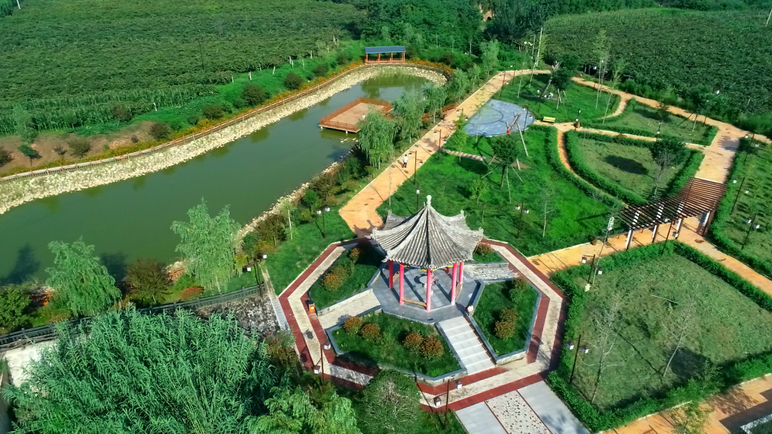  ��ʮ���������� | ����ɫ����Ϊץ�� ����������ˡ����ϡ�����