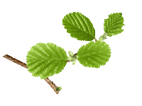 src=http___ss2.meipian.me_users_17148578_b49089a9e2bb71625aa