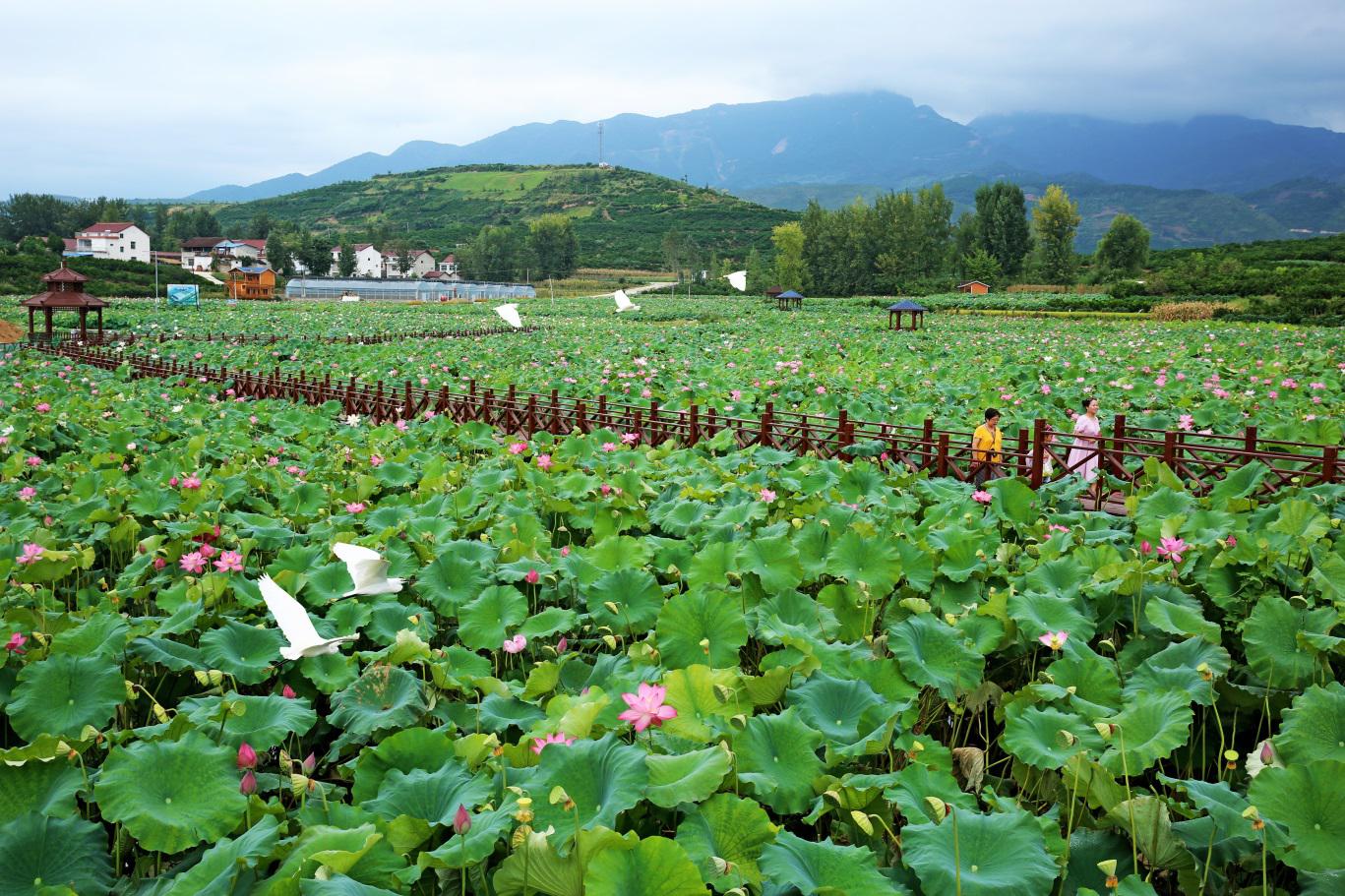 �¼����ǧĶ����׳���徭��