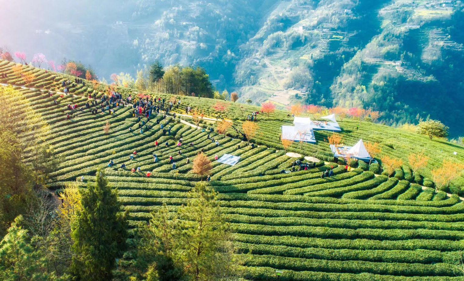 src=http _www.cqn.com.cn_zj_img_attachement_png_site2_202003