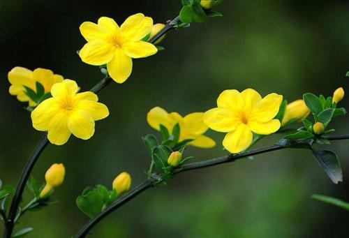 src=http _pic1.win4000.com_wallpaper_2018-03-24_5ab5bd4c9ae5