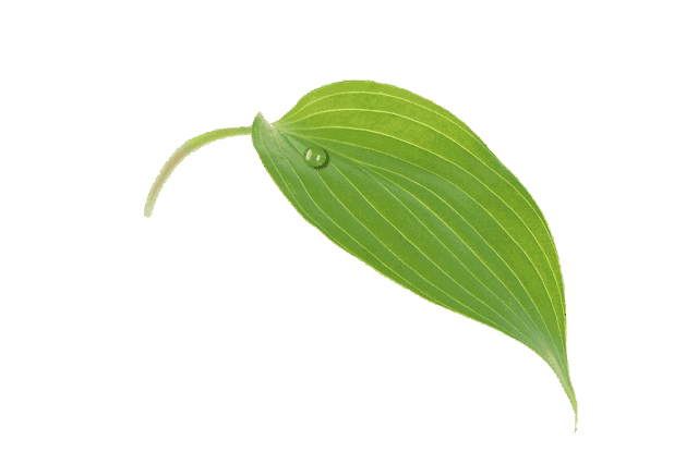 src=http___5b0988e595225.cdn.sohucs.com_images_20180511_24b5