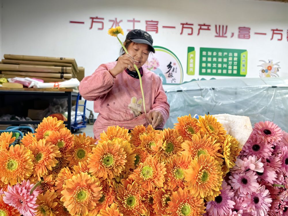 20231201d76ea04caad243a8a08919c1624916d6_202312015fb5ff0a8a1