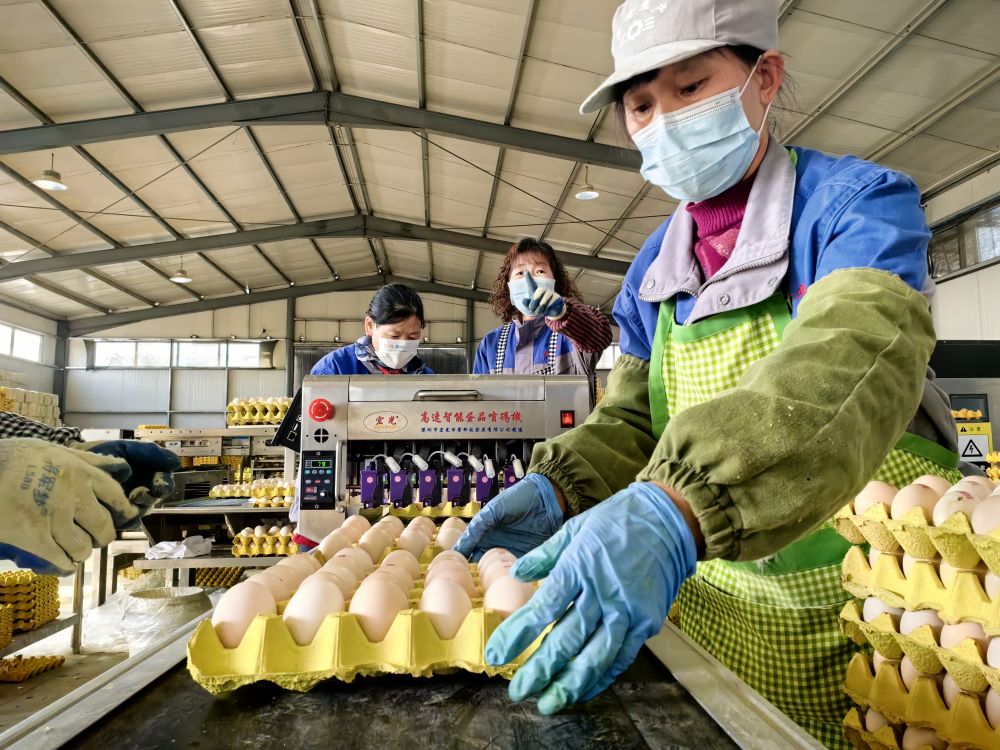 20231201d76ea04caad243a8a08919c1624916d6_202312019d2d64c688f