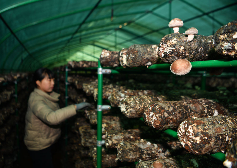 20231227d6e21f54073443a580e889f7aa233e14_f3797f8a2e1ca89ca25