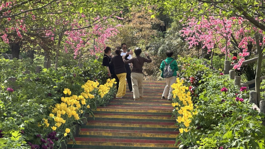 202504213edeb434d6bb464da0ec4a9b4861bb04_6495462988754b0e801