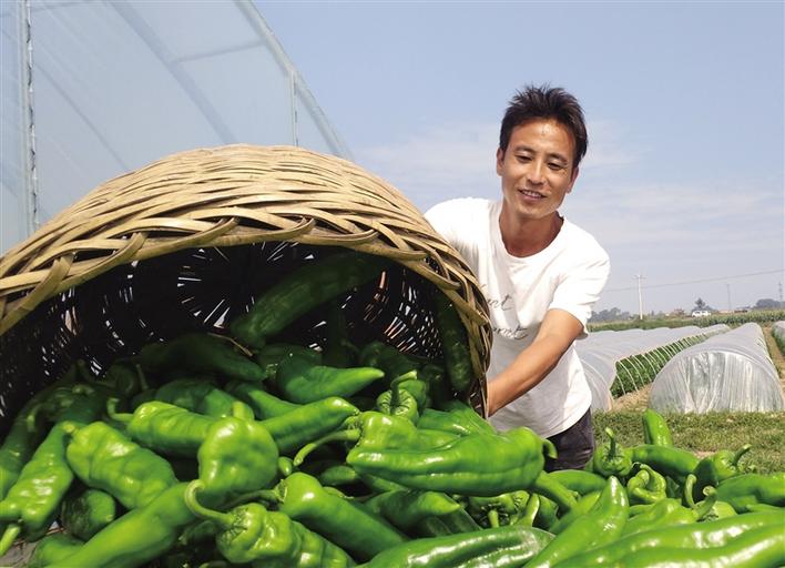 �ѳǣ��������ա�Ⱥ������