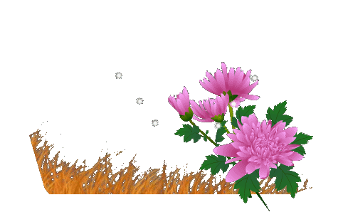 src=http _hbimg.b0.upaiyun.com_172eb706a46305d6950b866601711