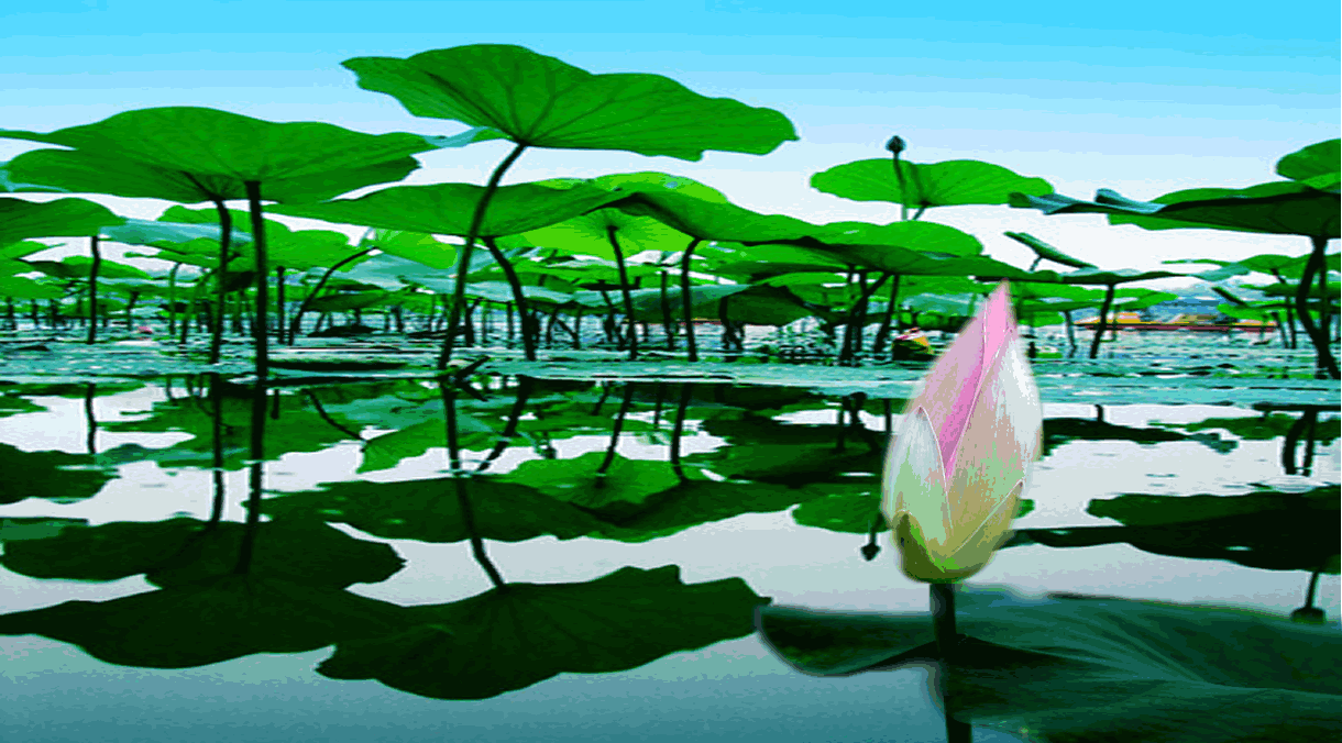 src=http _news.itunes123.com_uploadfiles_2cb782f7c022e0a5734