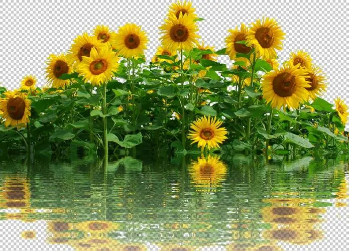 u=3346119575,3220284917&fm=253&fmt=auto&app=138&