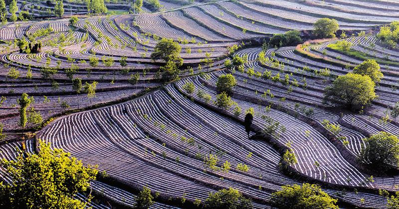 �˾��غ������� (1).jpg