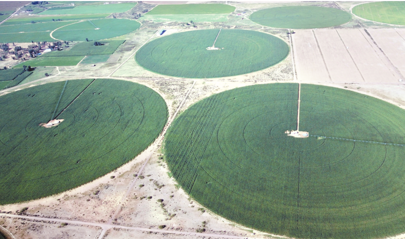 5FCB9A102A5CDAC61FD422FCEB227C1B0AAA2A65_size899_w790_h466.j