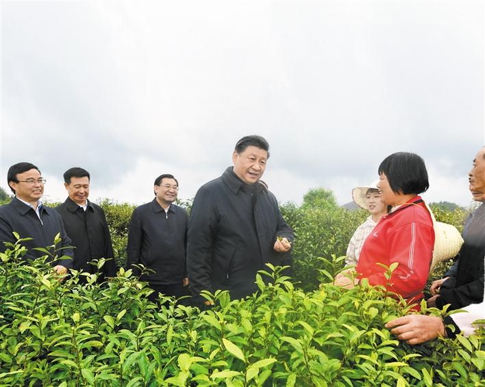 37d9b95a-a4c5-48de-88e7-38e8f718addf.jpg.1