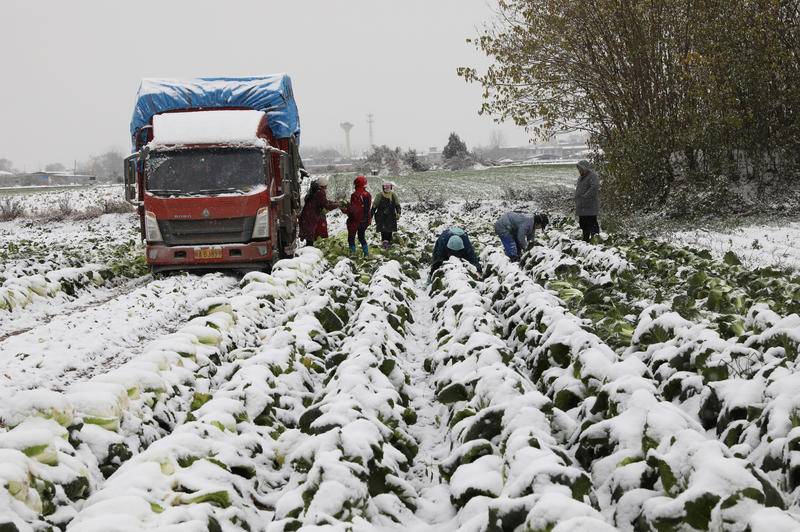 news_fz_20221130223930_42c005af0f23223ca6ac5a81b853e0bb48527