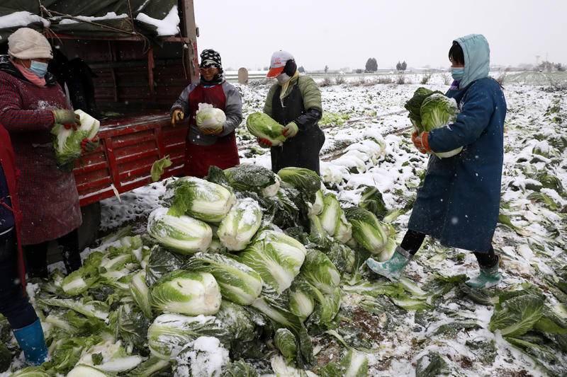 news_fz_20221130223928_207ef032fa67fb215cab2383e25ebae23d85c