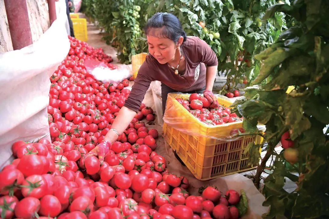 ���������ջ�������� .jpg