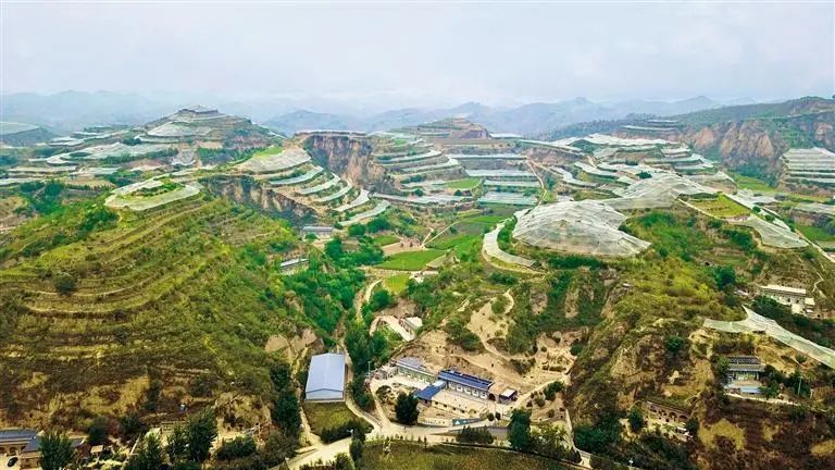 D9E10FF22F60F9125C9862B011EA86362999D467_size88_w768_h432.jp