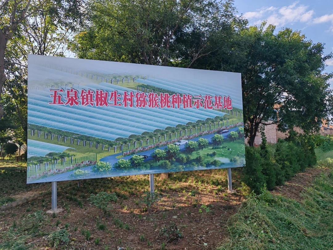 319107D17B45D7411638979FEE5A1CF17C4A38AF_size226_w1080_h810.