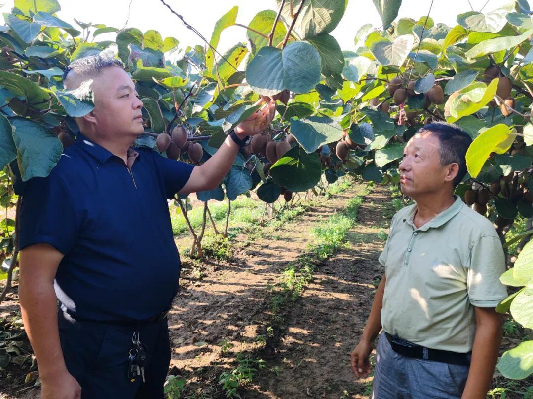 455B041A8F4121F013024560040E85AB24A80703_size170_w1080_h810.