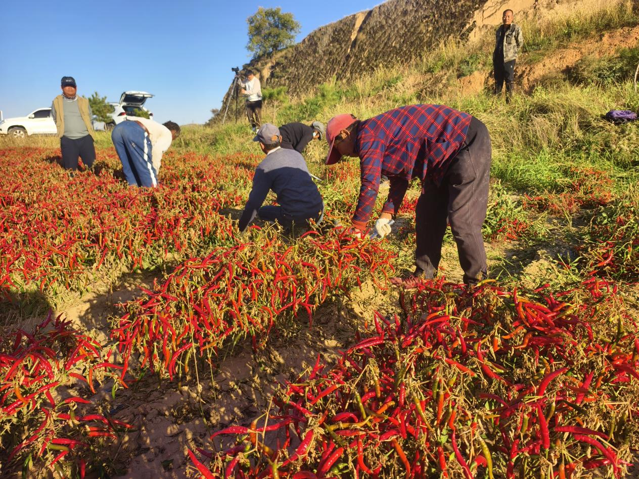 202410185113e4689c554696a5ef1d014e33da5f_202410180950423934r