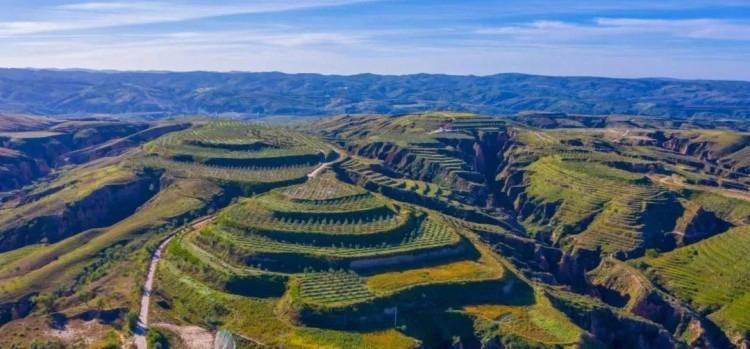 6E31D743795D0941A5F1AFCA657813EA8A77205B_size47_w750_h349.jp