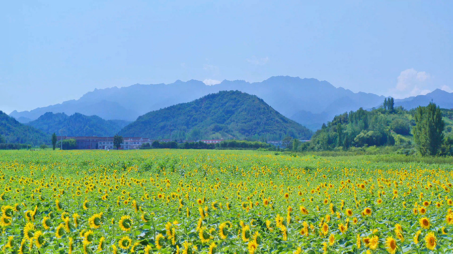 20250526485fff0f623c4bea87c5d908f7a27c20_acac9e9d1bff26151a5