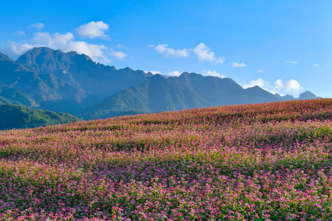 2025052438fa9f34f79d443083ad3f43b4d28dd0_202505244eabd55e995