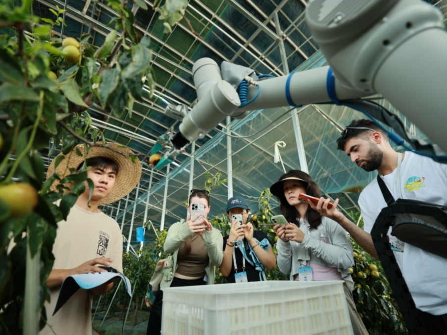 cms_20250814141635_77fd1b43a6f68823b754e0f7488378d422c33b5f.