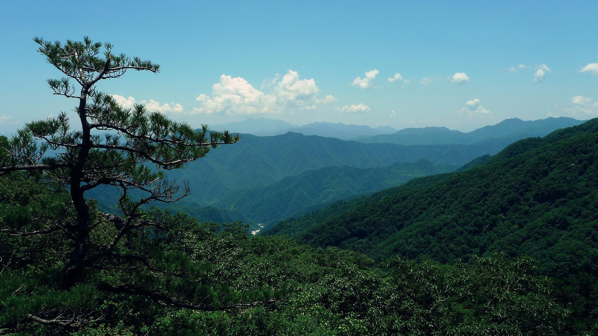 src=http _img.pconline.com.cn_images_upload_upc_tx_photoblog