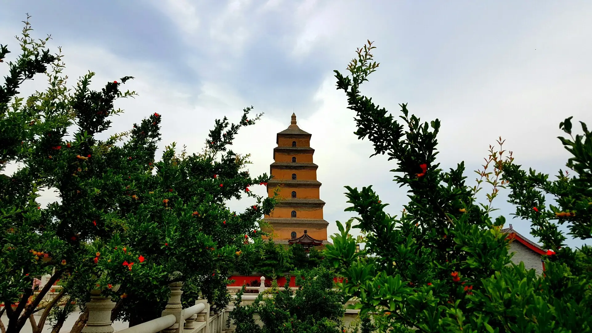  ȫ���Ҹ���ǿ������