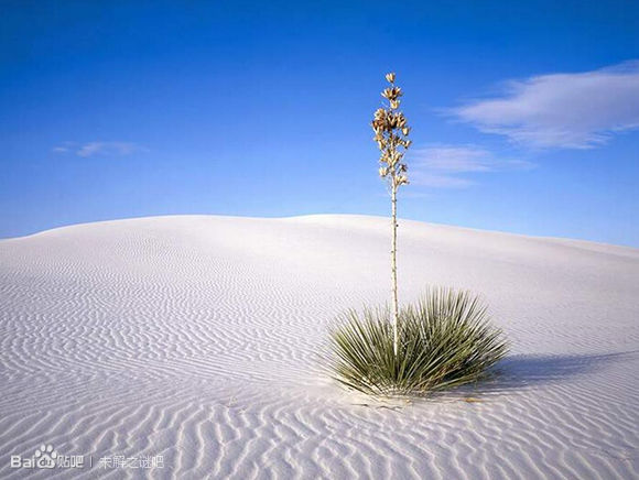 ������֮�ۣ�ë�������ǣ�