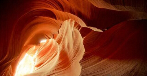 ����{�ȣ�������