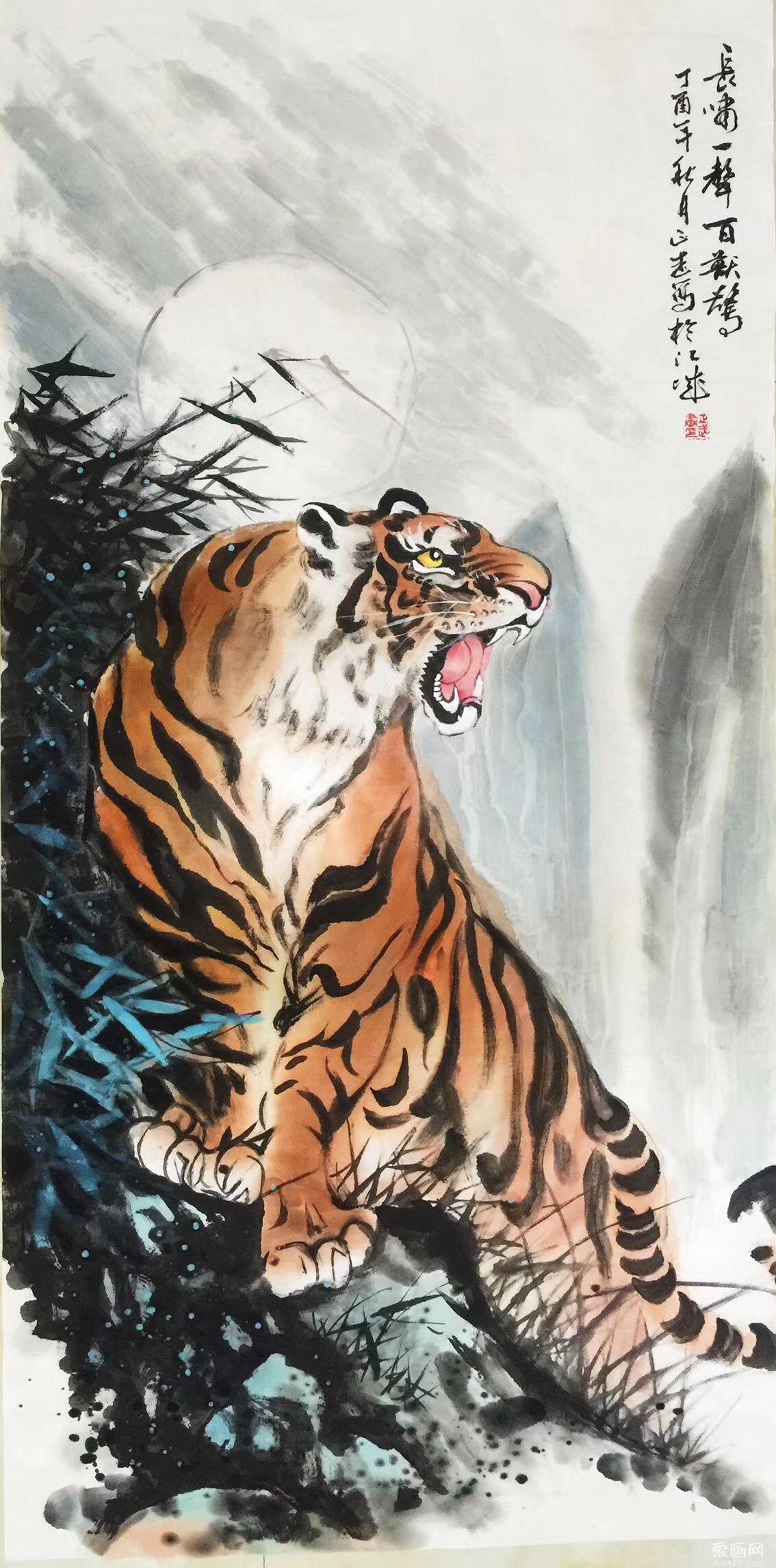 ��������