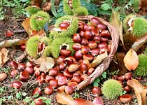 ���´����