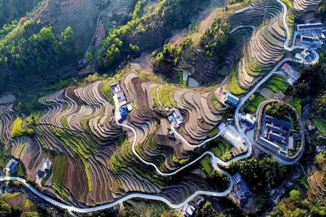 �������ߵ�������