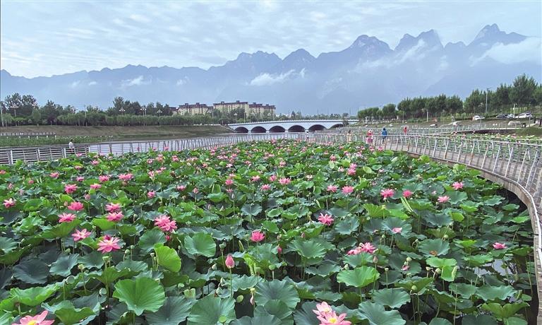 ����ʢ��