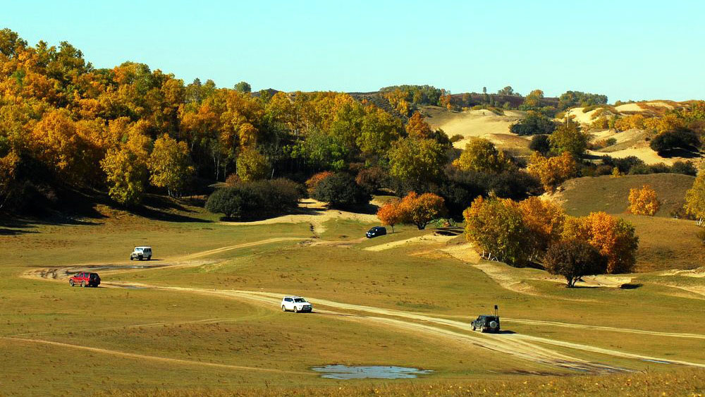 ������ͳ������