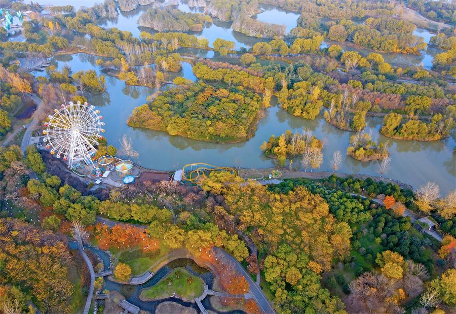 ��屹���ʪ�ع�԰