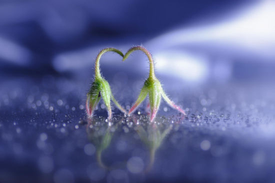 ȫ���綼������� ������ů��������Ļ���