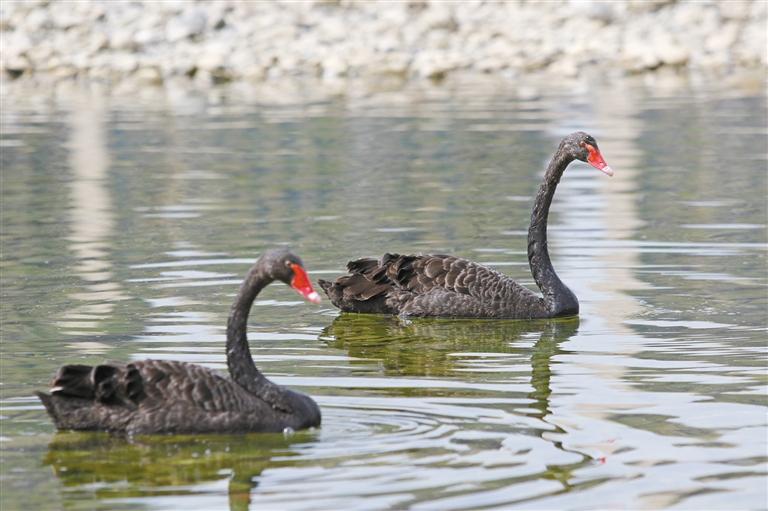 �������������