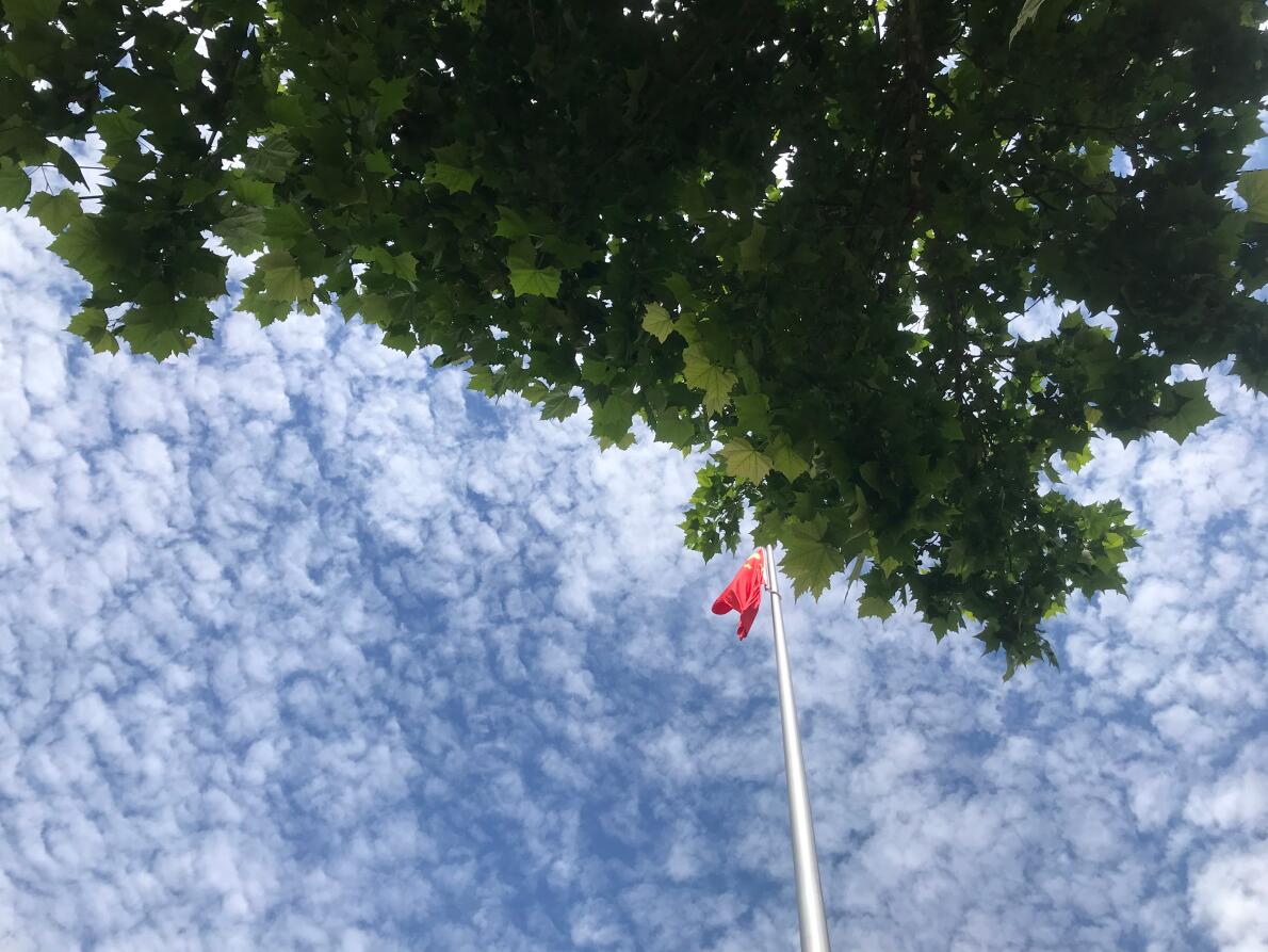 Զ�յ����Ǻ���