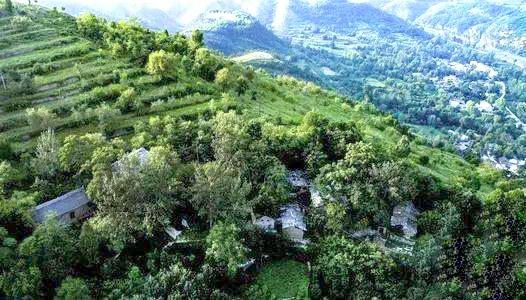 ������ɫ