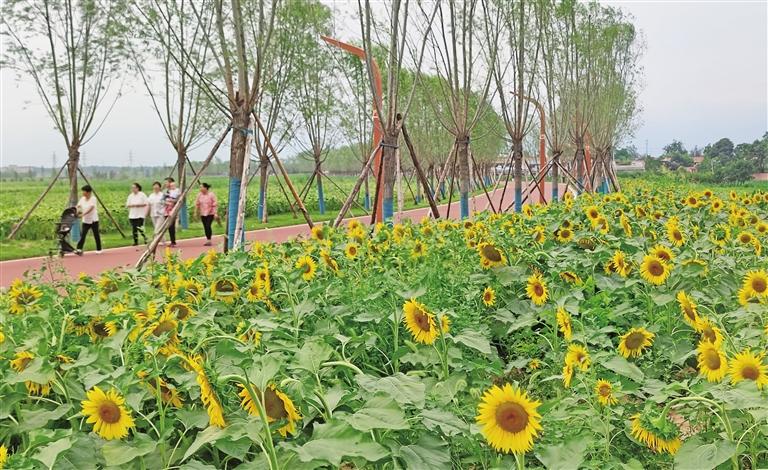 ������������ӱ���ǧĶ�Ϳ�