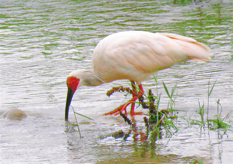 �����ı��������q