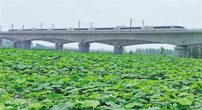 μ�Ͼ�����ǧĶ��ź����