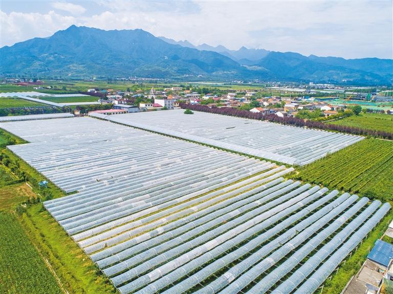 ����������ֵ�����ׯ���ٻ����ѻ���